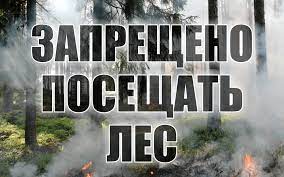 ВНИМАНИЕ! В Глубокском районе введен запрет на посещение лесов!