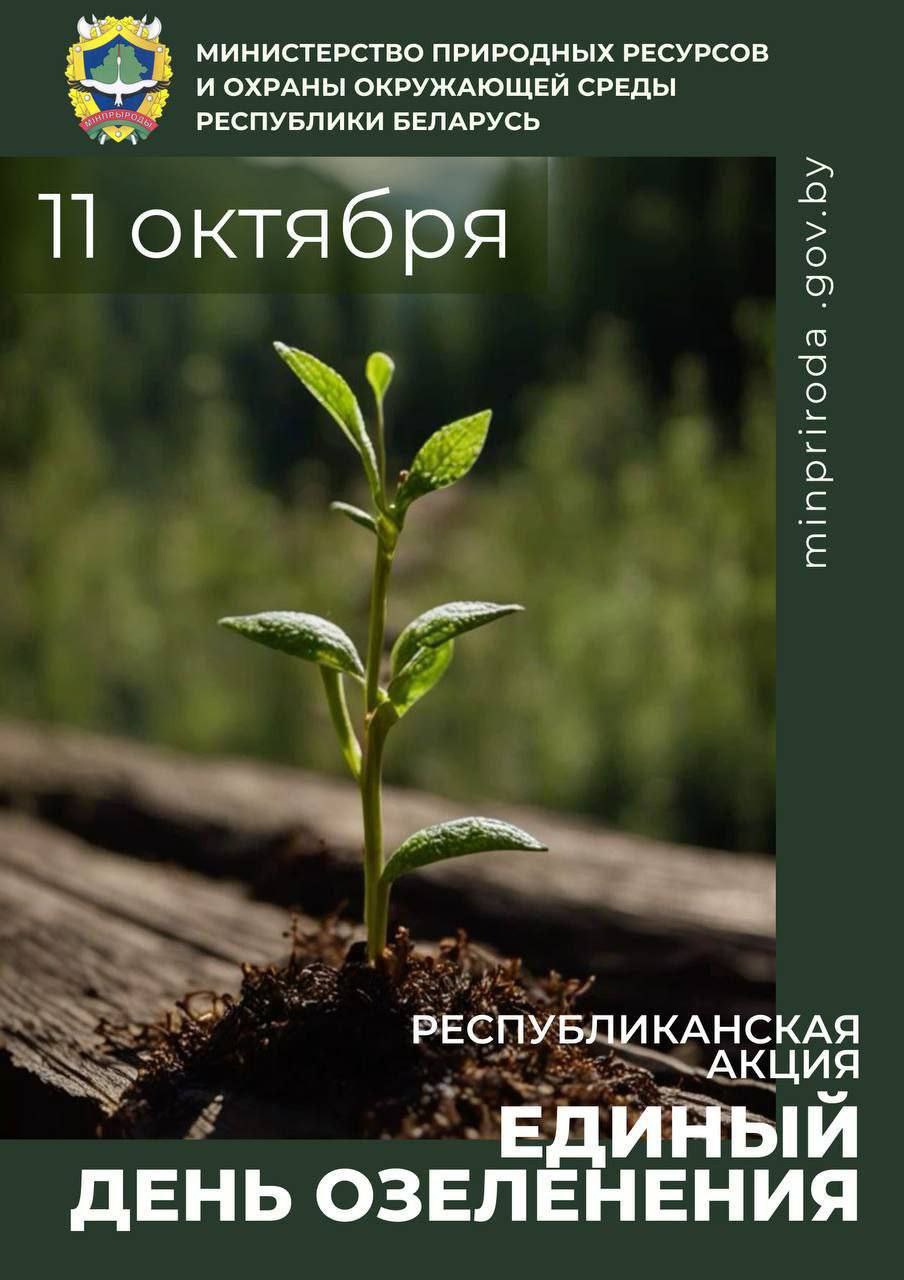 11 октября - Единый день озеленения