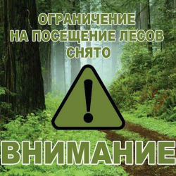Ограничение на посещение лесов СНЯТО!