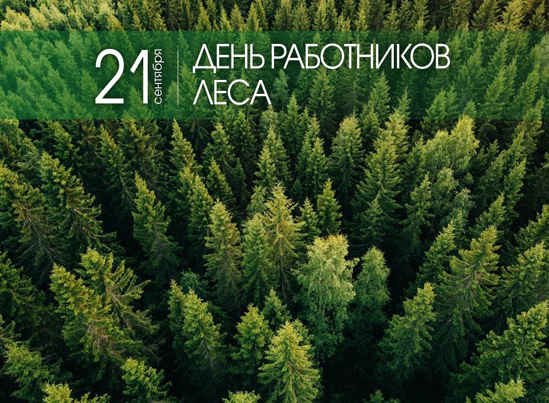 Поздравление Министра лесного хозяйства Республики Беларусь Александра Кулика с Днем работников леса