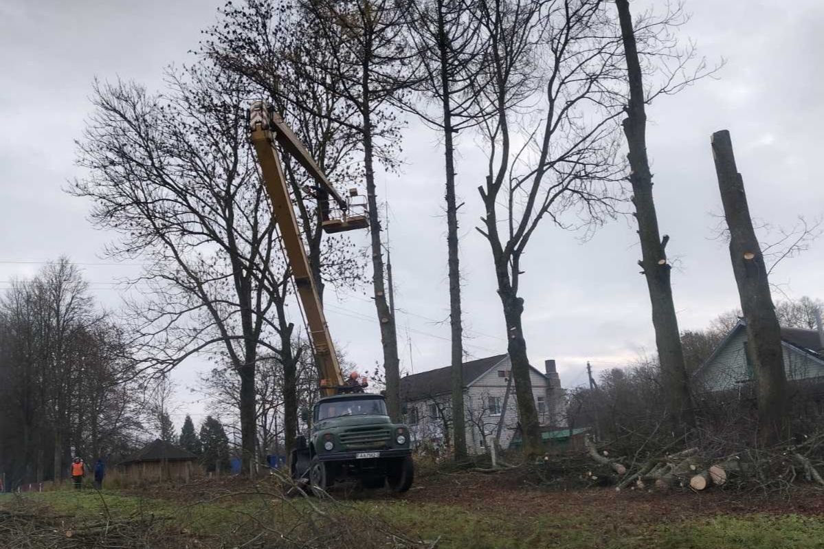 Аварийные деревья были удалены в деревне Ореховно в рамках районного субботника. 