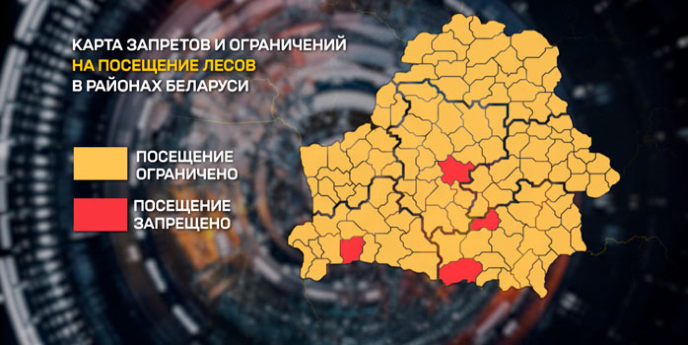 Внимание: на территории Глубокского опытного лесхоза введены ограничения на въезд транспорта и посещение лесов