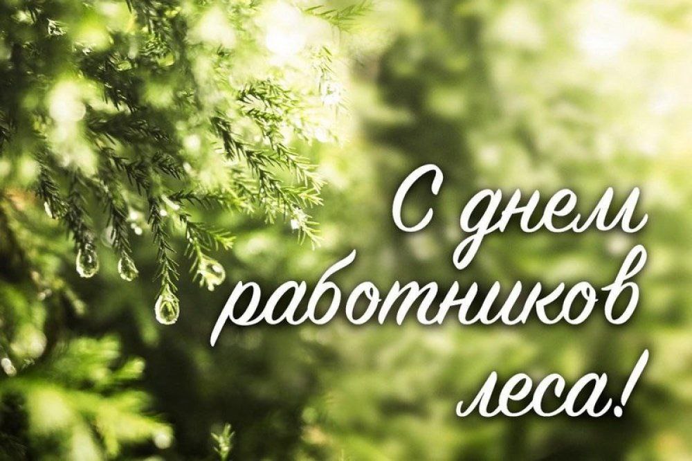 Поздравление с праздником - Днём работников леса!
