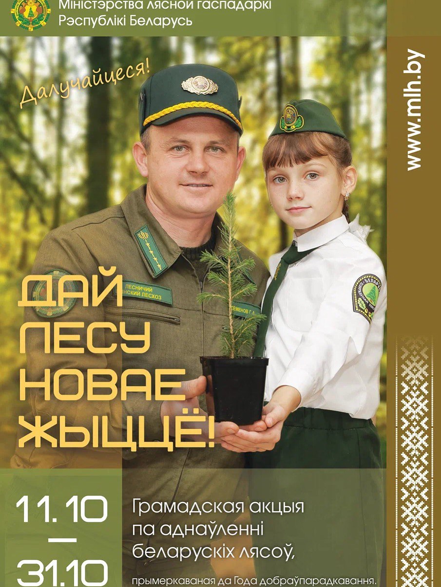 Республиканская добровольная акция «Дай лесу новае жыццё!» пройдет в Беларуси с 11 октября по 31 октября.