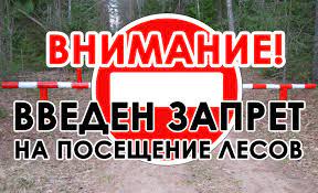 ВНИМАНИЕ! В Докшицком районе введен запрет на посещение лесов!