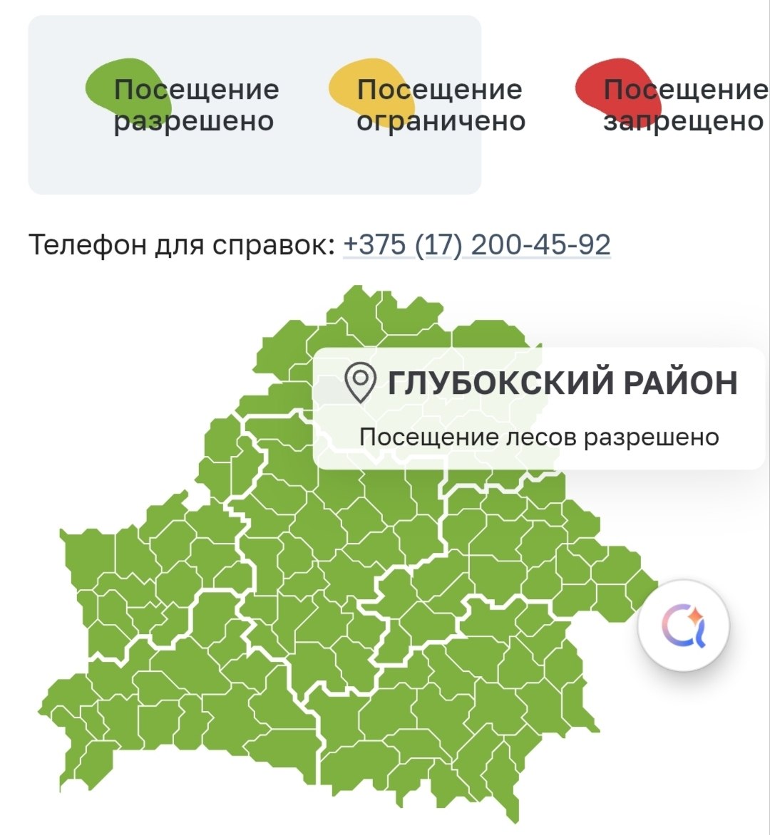 Ограничения на посещение лесов полностью сняты по всей территории Беларуси