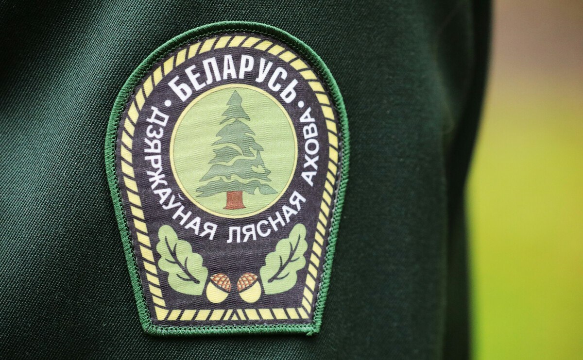 Гослесохрана перейдет на усиленную охрану лесов от пожаров в выходные дни