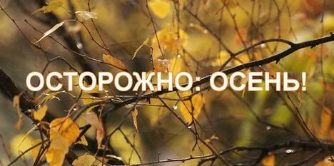 Осенняя безопасность  - советы
