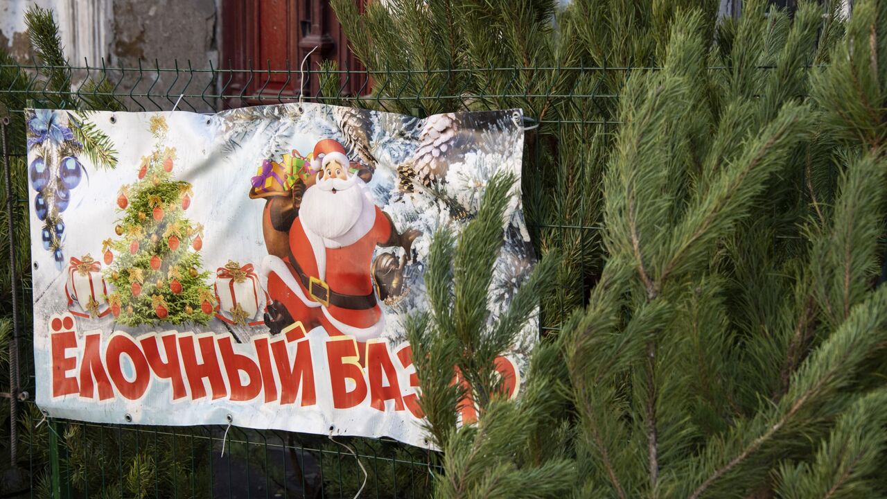 ЁЛОЧНЫЕ БАЗАРЫ ГЛУБОКСКОГО РАЙОНА