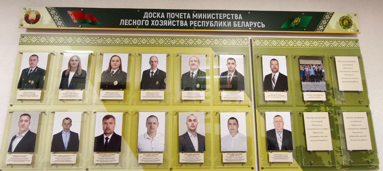 В Минлесхозе обновили отраслевую Доску Почета